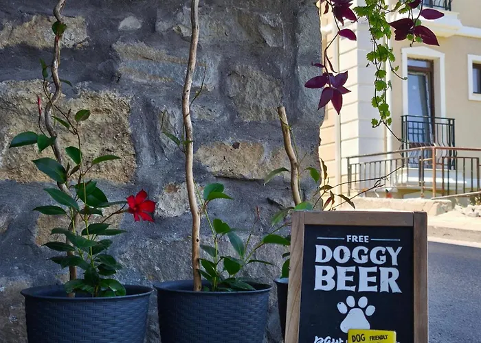 The Hill Veliko Tarnovo